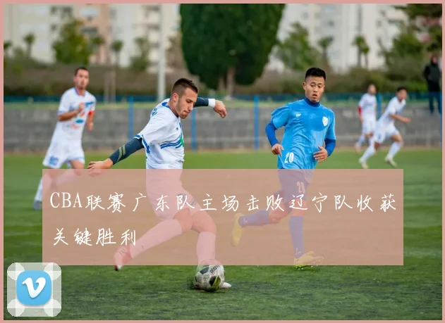 CBA联赛广东队主场击败辽宁队收获关键胜利